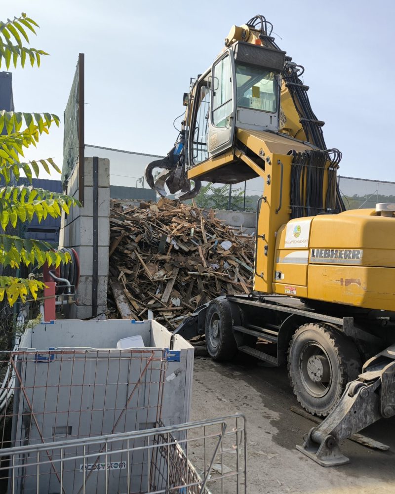 wile environnement