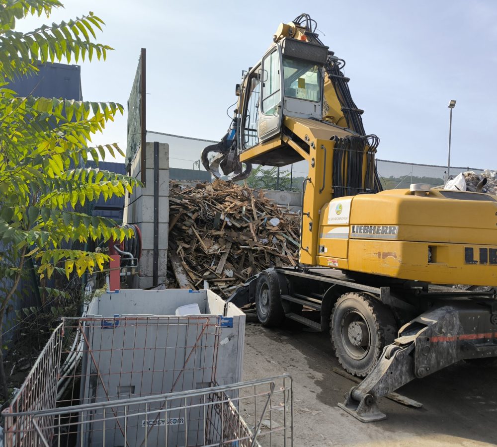 wile environnement